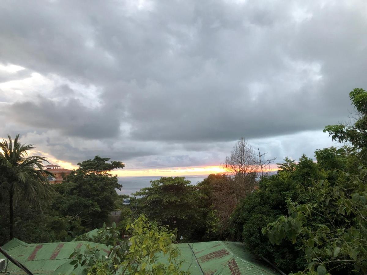 Cockatoo Studio Apartments Manuel Antonio Dış mekan fotoğraf