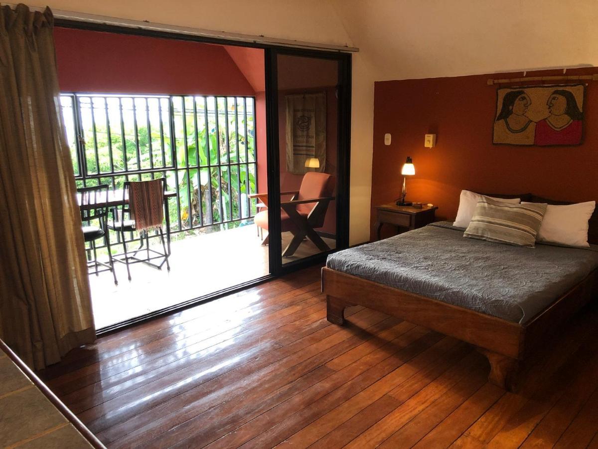 Cockatoo Studio Apartments Manuel Antonio Dış mekan fotoğraf